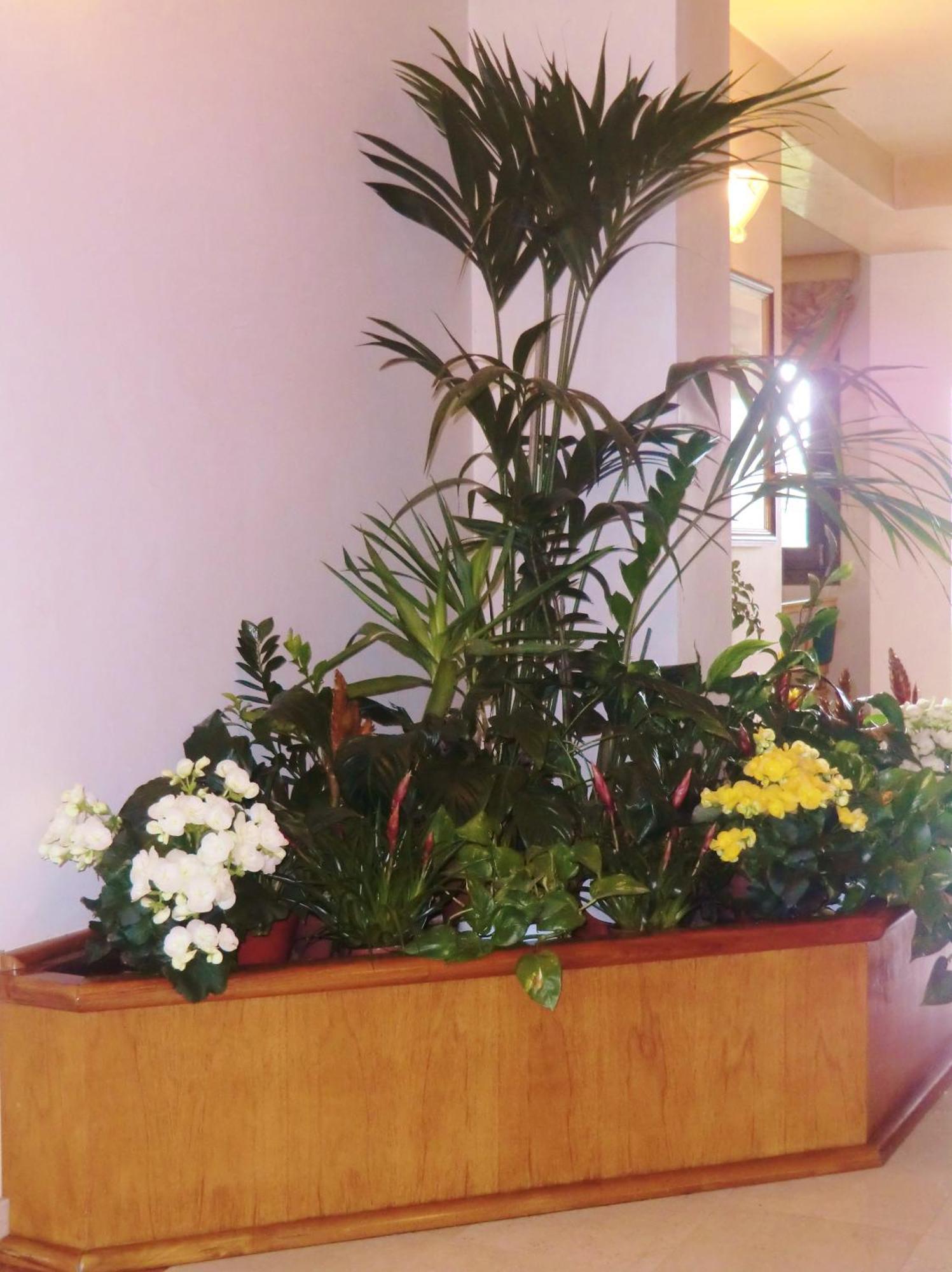 Hotel Luna Vigonovo  Bagian luar foto